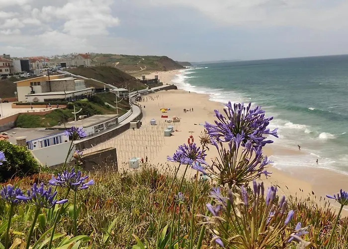 アパート Ribeiro House ロウリニャン