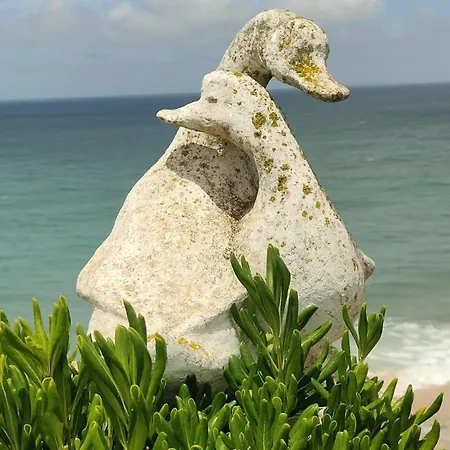 Apartament Ribeiro House *