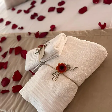 Apartament Ribeiro House *