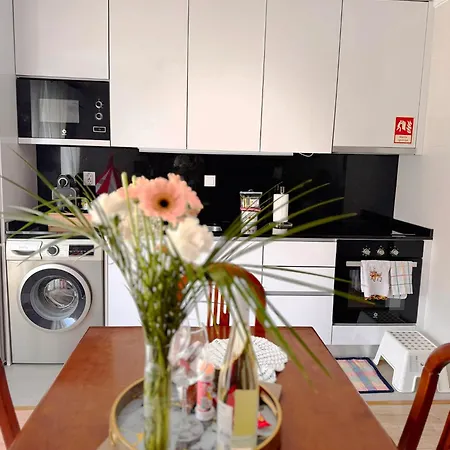 Apartment Ribeiro House